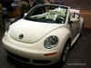 39_VW_beetle.jpg (100973 bytes)